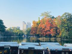 -荔湾湖公园