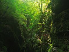 -牛背梁国家森林公园