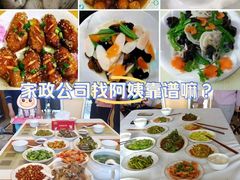 -天鹅到家·保姆月嫂育儿嫂(朝阳店)
