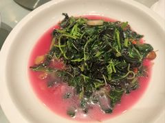 -皇朝尊会(龙之梦大酒店)