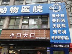 -瑞鹏宠物医院·爱宠堂·骨外专科(西荷分院)