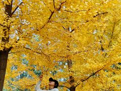 -燕郊植物园