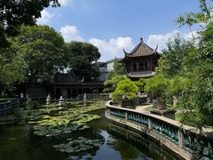 -碧江金楼