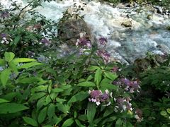 -西岭雪山大飞水景区