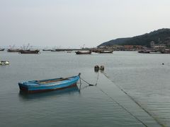 -长岛万鸟岛