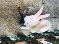 -诸暨同方豪生大酒店