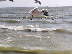 -海埂大坝