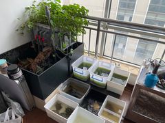 -灵龟之家百象馆(百象馆联合旗舰店)