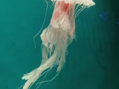 -郑州海洋馆