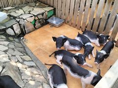 -HERRE·FARM 赫尔露营农场·团建聚会包场