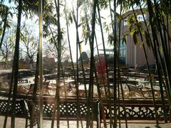 -静之湖湖畔餐厅