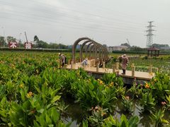 -那考河湿地公园