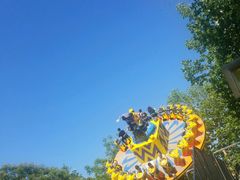 -朝阳公园游乐园