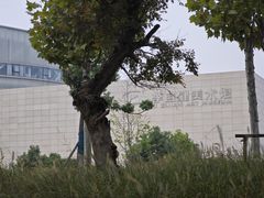 -洋湖国家湿地公园