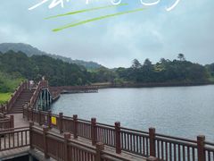 -海南热带雨林国家公园吊罗山景区