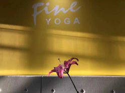 -FineYoga梵音瑜伽·普拉提