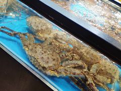 -盒马鲜生(宝地店)