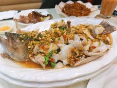 风味鲈鱼-香港新发烧腊茶餐厅(万象店)