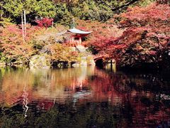 -醍醐寺