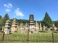 -河南博物院