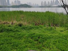 -月湖风景区