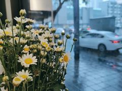 -常识咖啡common sense(春熙路店)