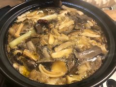 -马帮菜馆·美味野生菌
