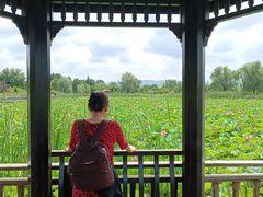 -羊亭河湿地公园