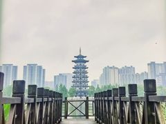 -洋湖国家湿地公园