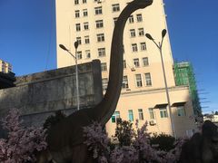 -鸿通城购物中心