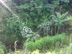 iphone_upload_pic-穹窿山景区