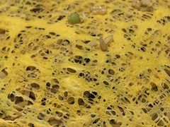 -百乐潮州酒家(时代广场店)