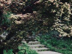 -南京市江宁方山