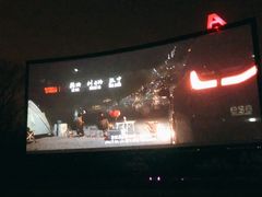 -枫花园汽车电影院(朝阳公园店)
