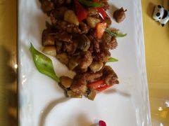-素虎小呆鸟(西二旗店)