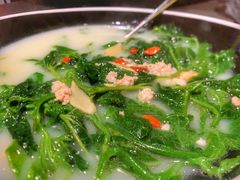 -羽鸽集·乳鸽专门店·地道顺德菜(岭南站店)