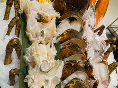 -红鼎豆捞·非遗鲍皇汤火锅(宝丰路店)