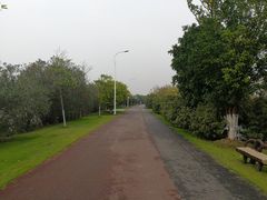 -艾溪湖湿地公园