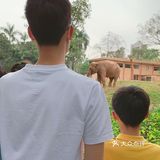 遛娃｜广州动物园20元的快乐