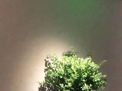 -山里亲戚(淞虹路店)