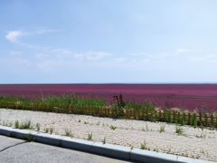 -红海滩国家风景廊道