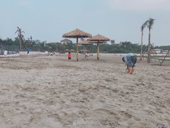 -九龙湖公园