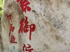 -皇家御河游(紫御湾码头)