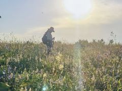 -白草畔自然风景区