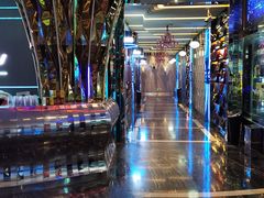 -麦克疯KTV(花园店)