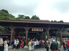 -金盆阿嬷香菇茶叶蛋(玄光店)