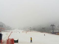 -中旅松花湖滑雪场