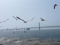 -星海广场
