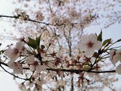 -美兰湖景区