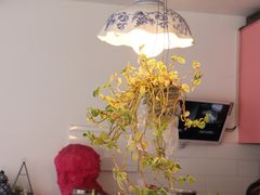 -villa de ato